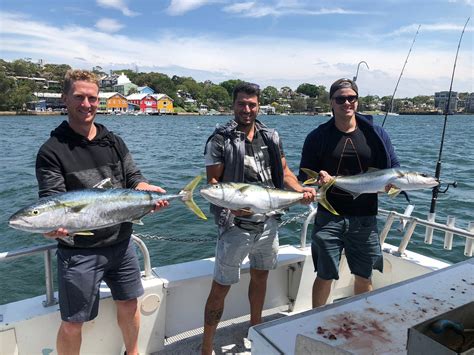 blue reef fishing charters|Blue Reef Fishing Charters (Balmain): All You Need to Know.